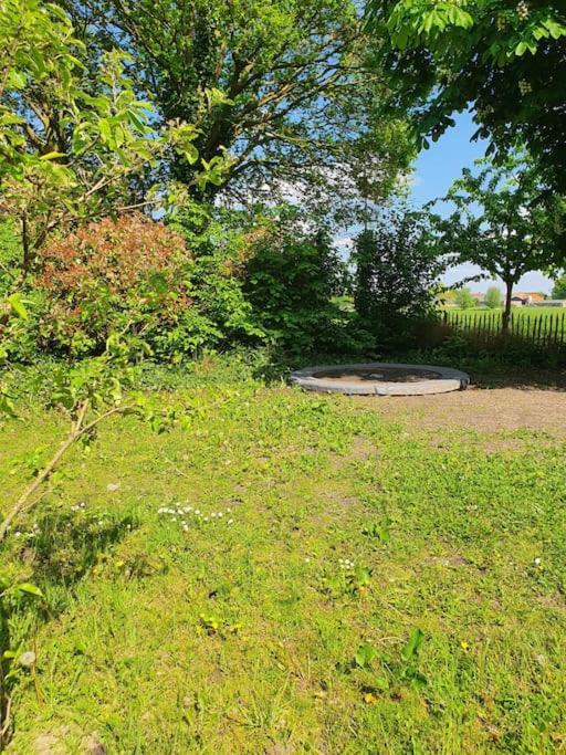 Leuk Boerderijtje Op Prachtige Plek, Nabij Natuurgebied Ruurlo Esterno foto