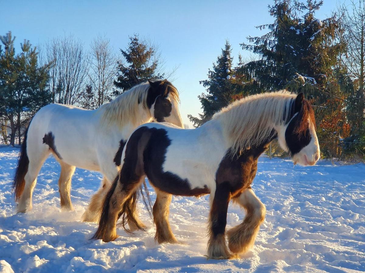 Leuk Boerderijtje Op Prachtige Plek, Nabij Natuurgebied Ruurlo Esterno foto