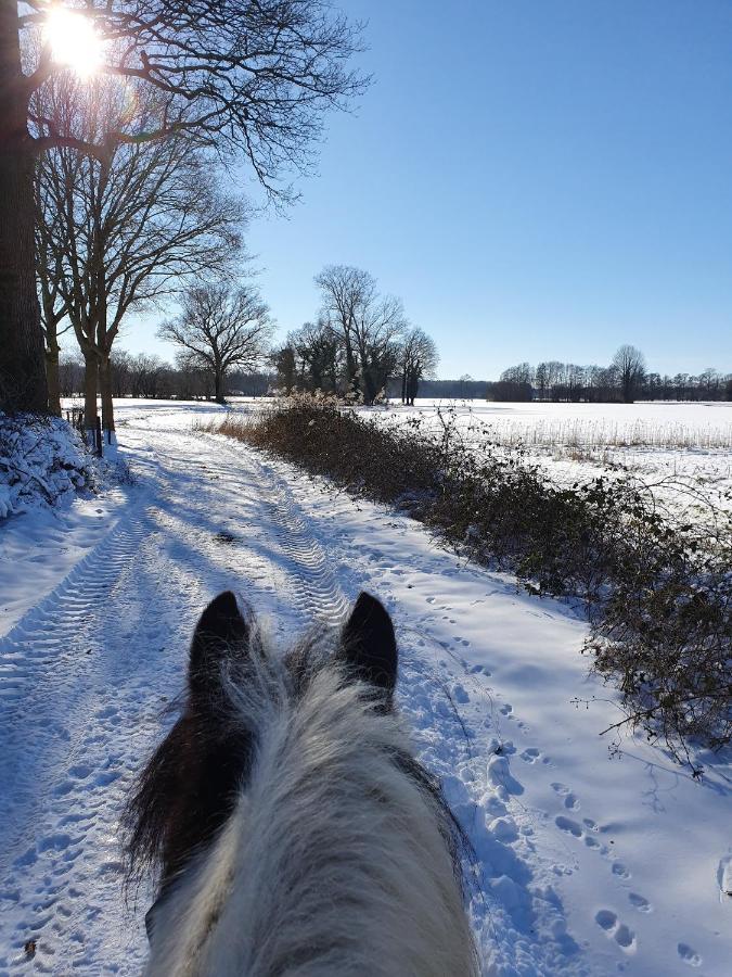 Leuk Boerderijtje Op Prachtige Plek, Nabij Natuurgebied Ruurlo Esterno foto
