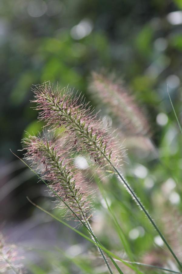 Leuk Boerderijtje Op Prachtige Plek, Nabij Natuurgebied Ruurlo Esterno foto